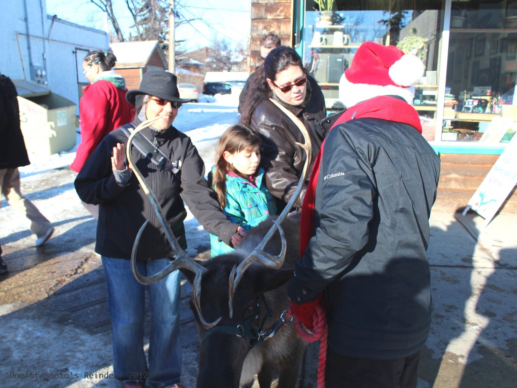 Petting my very first reindeer!